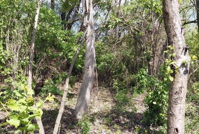 Schimb teren intravilan Filesti, 3.250 mp, cu apartament in Gala?i + diferen?a - 14