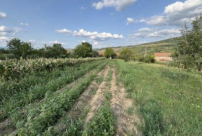 Casă cu 4 camere cu Teren 2700 Mp în Pianu - 2