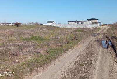 Teren Construcții intravilan de 465 mp, în Berceni - 5