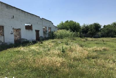 Teren de 8160 mp, în Rădoiești - 1