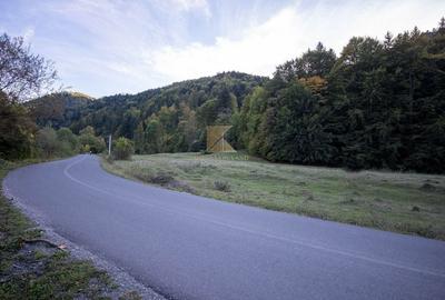 Parcele de teren de 1000 mp în Râșnov, str. Glăjărie Râul Mare - 11