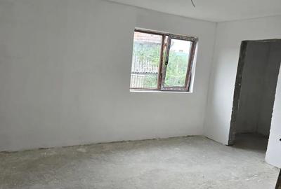 Casă cu 2 camere în Valea Leșului - 10