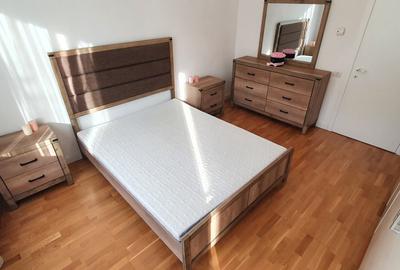 Apartament cu 3 camere decomandat, mobilat în Iancu Nicolae - 12