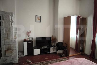 Casa boiereasca, 150 mp utili si 361 mp teren, 19.6 ml deschidere, zona Puskin - 7