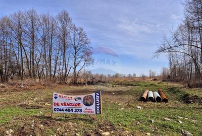 Comision 0 %/ Teren extravilan 3197 mp pitoresc/ Fagaras - 3