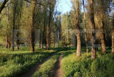 Teren de 120000 mp, în Divici - 2