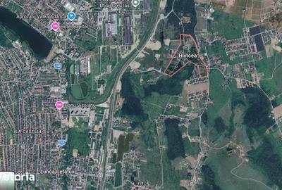 Teren de 25000 mp, în Ciurea - 1