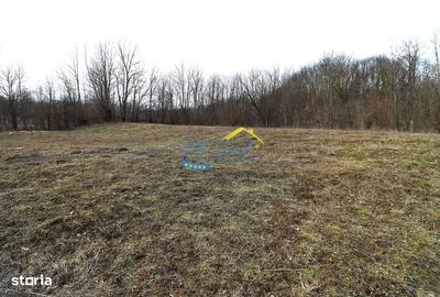 Teren de 1939 mp, în Provița de Sus - 2