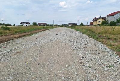Teren Construcții intravilan de 405 mp, în Dragomirești-Vale - 6