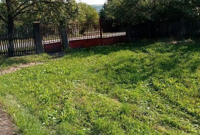 Loc. Basesti (jud. MM) casa de vanzare cu 8.000 mp teren Loc. Basesti (jud. MM) casa de vanzare cu 8.000 mp teren - 2