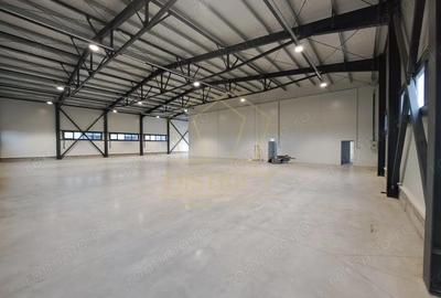 Spațiu comercial, de 921 mp, în Giarmata - 9