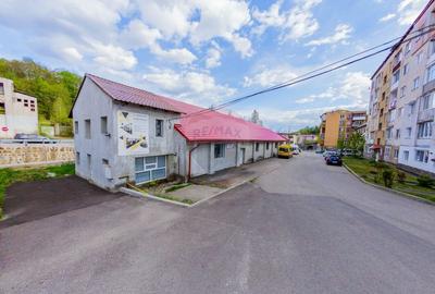 Spațiu industrial, de 647 mp, în Central - 3