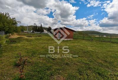 Teren Construcții intravilan de 2200 mp, în Crainimăt - 12