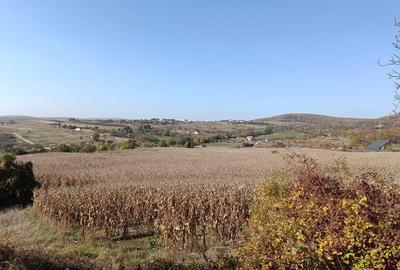 Teren extravilan 5,671mp Cluj-Napoca / Strada Lombului - 3