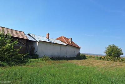 Teren de 4217 mp, în Valea Fetei - 5