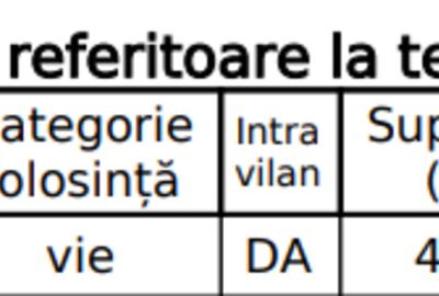 Teren Construcții intravilan de 4780 mp, în Dumbrăveni - 4