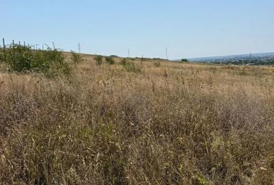 Spațiu comercial, în Florești - 1