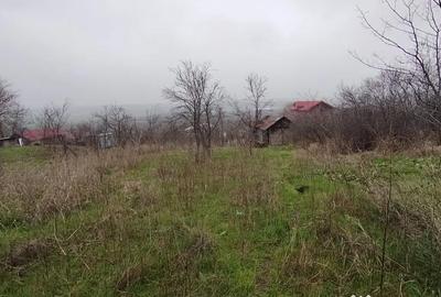 Teren în Brestei - 2