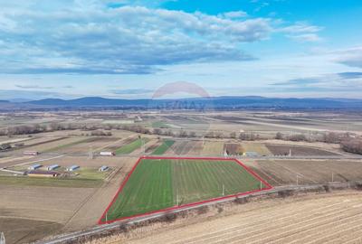 Teren agricol intravilan de 5300 mp, în Prejmer - 5