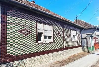 Casă cu 3 camere cu Teren 1430 Mp în Socodor - 1