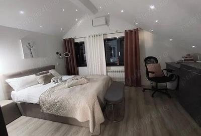 De vanzare Vila de vis in stil suedez cu piscina in Curtea de Arges - 15