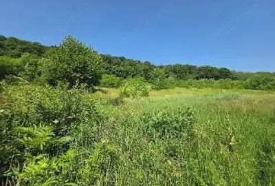 Teren Duda Epureni, ID: R2609594 - 2