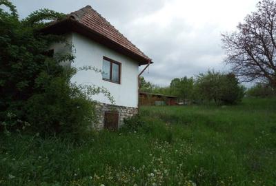 Casă cu 2 camere în Central