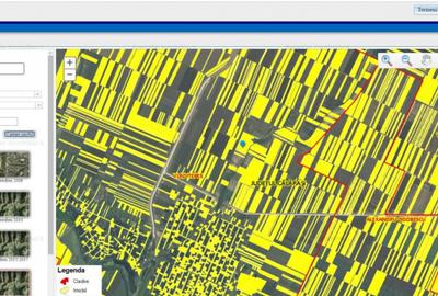 12 Ha Teren Agricol Vlad Tepes CL - 1