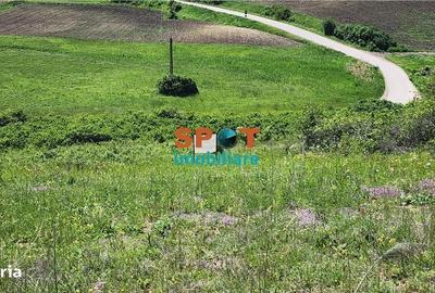 Spațiu comercial, în Vișea - 3