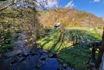 Cabana vacanta, teren 1000mp, acces direct la parau, zona Lacul Tarnita - 1