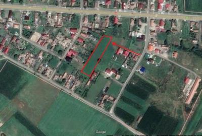 Teren de 3000 mp, în Hădăreni - 3