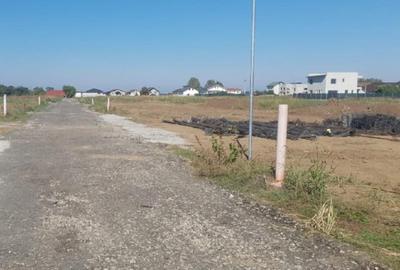 Branesti vanzare terenuri 764 si 1000mp CU UTILITATI langa lac si padure - 9