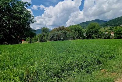 Teren 2743 mp, 2 fronturi, asfalt Vii?oara, Neam? - 16