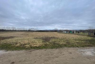 Teren Construcții de 5700 mp, în Oșorhei - 3