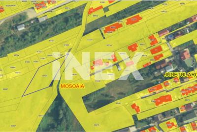 Teren strada Campului TRIVALE | 5.500 mp | iDEAL Dezvoltare imobiliara - 2