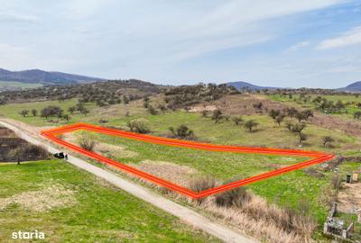 Teren de 6300 mp, în Central - 2