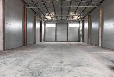 Spatiu depozitare/productie 500 mp, zona Sud - 3