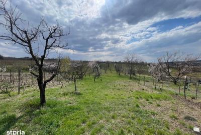 Casă cu 2 camere în Săldăbagiu de Munte - 4