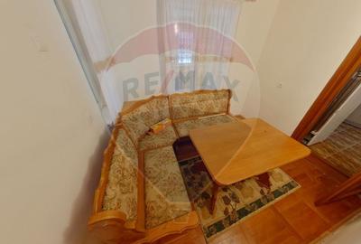 Casă individuală cu 8 camere cu Teren 4906 Mp în Central - 6