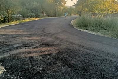 Teren de 12500 mp, în Brănești - 2