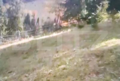 Teren de 15000 mp, în Panaci