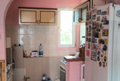 Apartament de vanzare cu 2 camere, zona Iosefin - 7