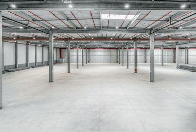 Hale industriale de închiriat în WDP Timișoara - 4