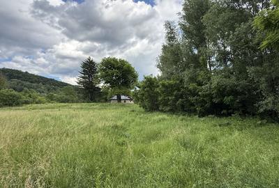 Teren Construcții intravilan de 3800 mp, în Provița de Sus - 2