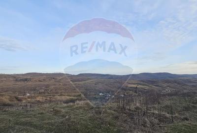 Teren intravilan de 2500 mp, în Periferie - 7