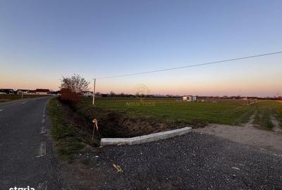 Teren de 585.1 mp, în Păulești - 4