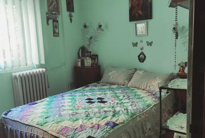 Apartament cu 2 camere semidecomandat în Brazda lui Novac - 3