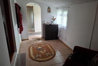 Casa Gugesti, sat Oreavu, 1870 mp teren - 8