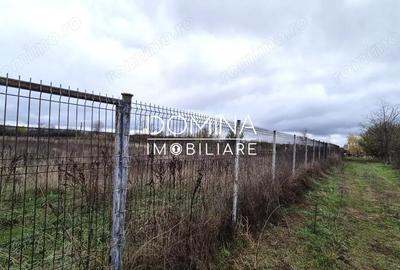 Teren de 6524 mp, în Iezureni - 2