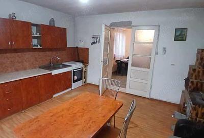 Casă cu 2 camere cu Teren 296 Mp în Teregova - 1